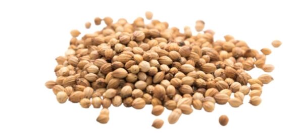 CORIANDER SEEDS