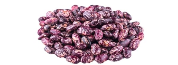 PURPLE SPECKLED KIDNEY BEANS