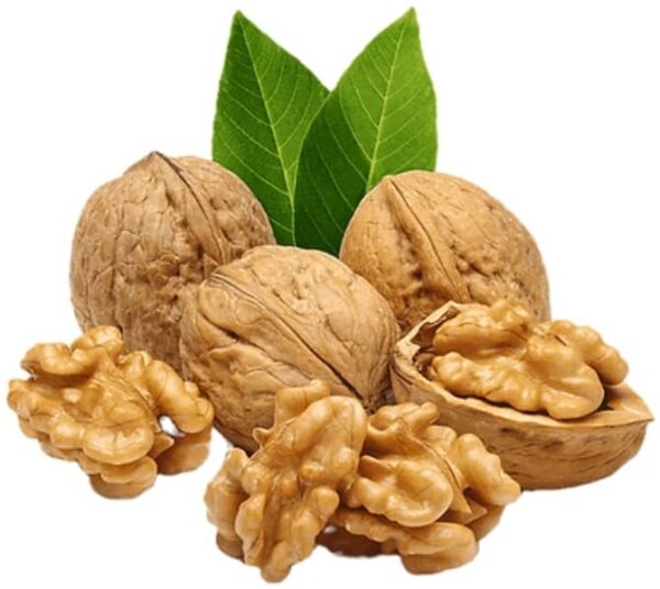 WALNUT