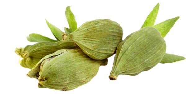 GREEN CARDAMOM