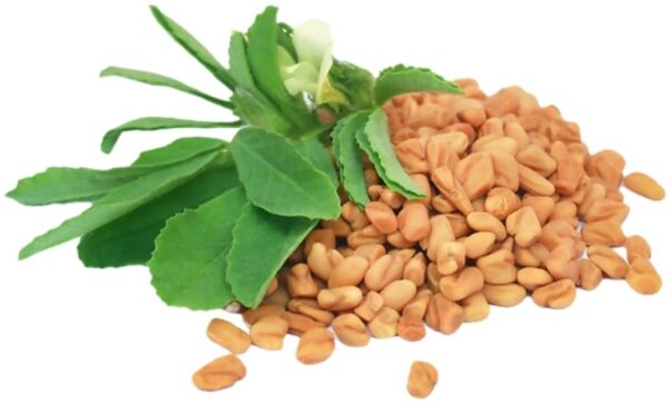 FENUGREEK